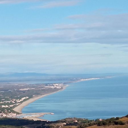 Appartement 3Pieces Argelès-sur-Mer Dış mekan fotoğraf