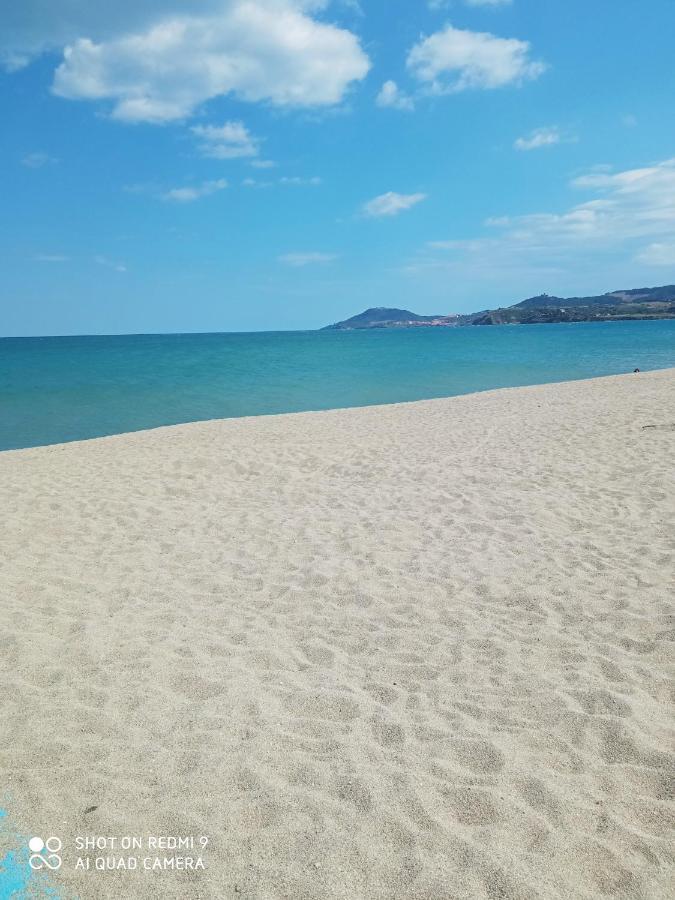 Appartement 3Pieces Argelès-sur-Mer Dış mekan fotoğraf